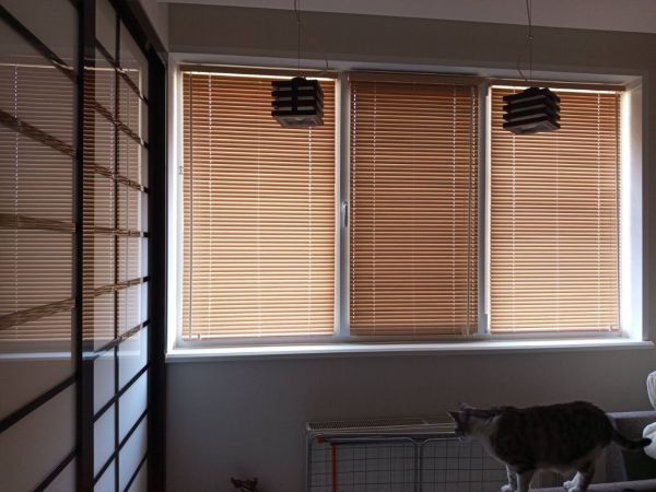 Горизонтальные жалюзи